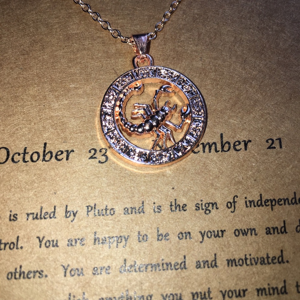 Scorpio zodiac necklace 3/$25